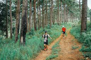 BIB: 
                            <button type="button" onclick="openModal(25661296)" class="btn btn-primary btn-sm float-right btn-popup" data-toggle="modal" data-target=".modal-high-quality">
                        <i class="fas fa-shopping-cart"></i> Add to Cart
                    </button>
                                            <button type="button" onclick="isThisMe(25661296, true)" class="btn btn-success btn-sm float-right btn-popup btn-isme hidden" data-toggle="tooltip" data-placement="bottom" title="นี่คือรูปของคุณใช่ไหม คลิกที่นี่เพื่อเอาเข้าอัลบั้ม">
                        <i class="fas fa-plus"></i> Add to album
                    </button>
                    <button type="button" onclick="isThisMe(25661296, false)" class="btn btn-warning btn-sm float-right btn-popup btn-isnotme hidden">
                        <i class="fas fa-ban"></i> Remove from album
                    </button>